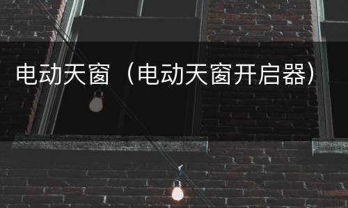 电动天窗（电动天窗开启器）
