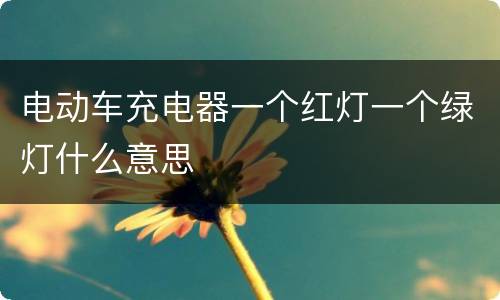 电动车充电器一个红灯一个绿灯什么意思
