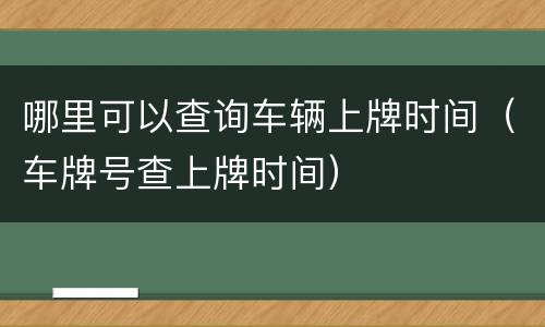 哪里可以查询车辆上牌时间（车牌号查上牌时间）