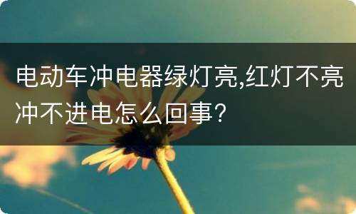 电动车冲电器绿灯亮,红灯不亮冲不进电怎么回事?