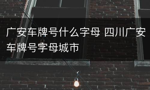 广安车牌号什么字母 四川广安车牌号字母城市