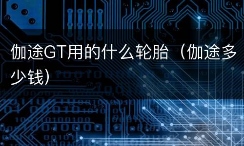 伽途GT用的什么轮胎（伽途多少钱）