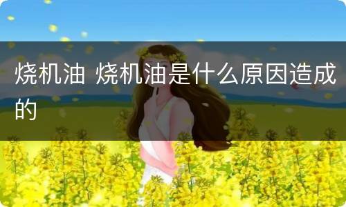 烧机油 烧机油是什么原因造成的