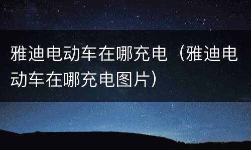 雅迪电动车在哪充电（雅迪电动车在哪充电图片）