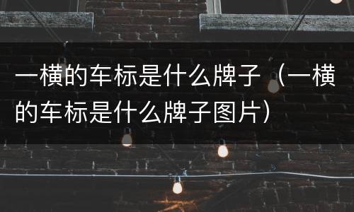 一横的车标是什么牌子（一横的车标是什么牌子图片）