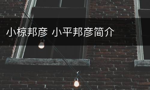 小椋邦彦 小平邦彦简介