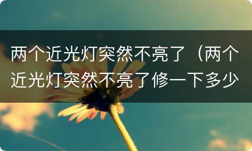 两个近光灯突然不亮了（两个近光灯突然不亮了修一下多少钱）