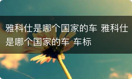雅科仕是哪个国家的车 雅科仕是哪个国家的车 车标