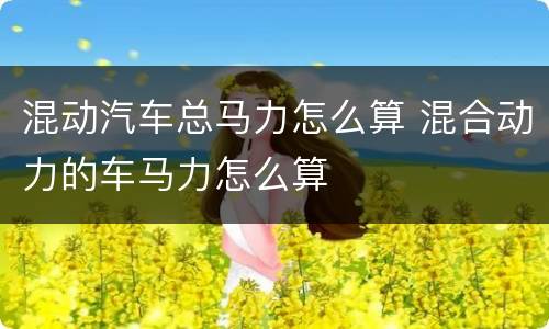 混动汽车总马力怎么算 混合动力的车马力怎么算