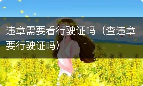 违章需要看行驶证吗（查违章要行驶证吗）