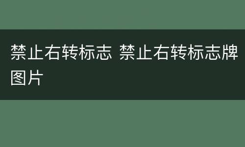 禁止右转标志 禁止右转标志牌图片