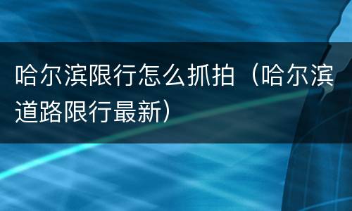 哈尔滨限行怎么抓拍（哈尔滨道路限行最新）