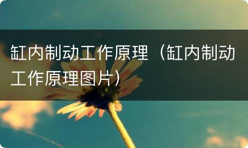 缸内制动工作原理（缸内制动工作原理图片）