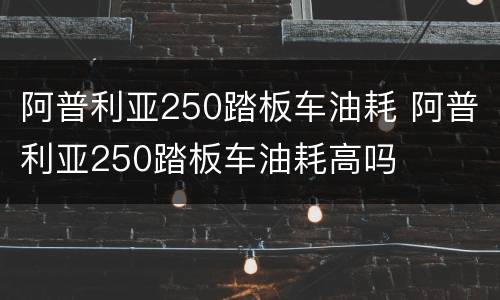 阿普利亚250踏板车油耗 阿普利亚250踏板车油耗高吗
