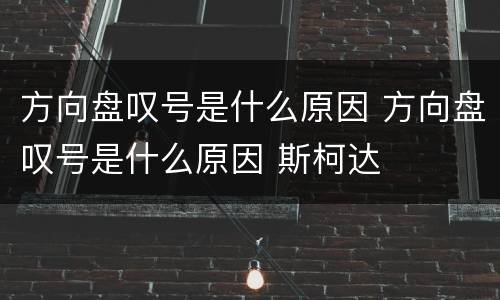 方向盘叹号是什么原因 方向盘叹号是什么原因 斯柯达