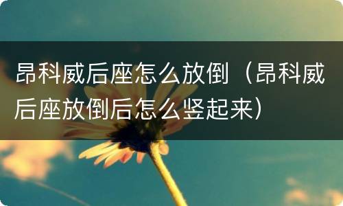 昂科威后座怎么放倒（昂科威后座放倒后怎么竖起来）