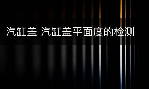 汽缸盖 汽缸盖平面度的检测