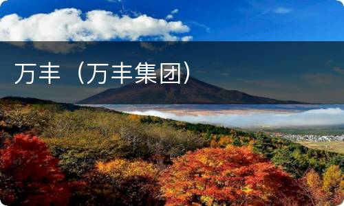 万丰（万丰集团）