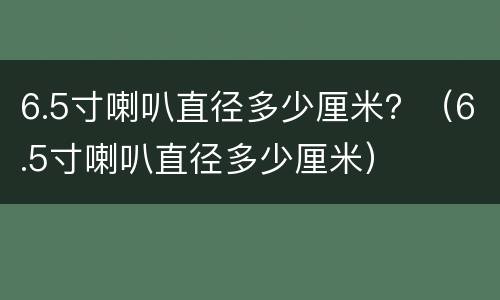 6.5寸喇叭直径多少厘米？（6.5寸喇叭直径多少厘米）