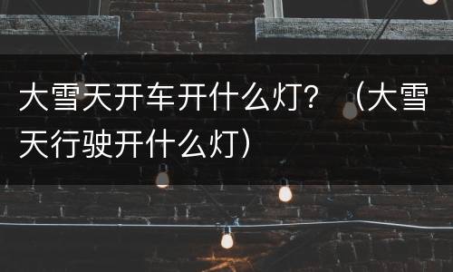 大雪天开车开什么灯?(大雪天行驶开什么灯)