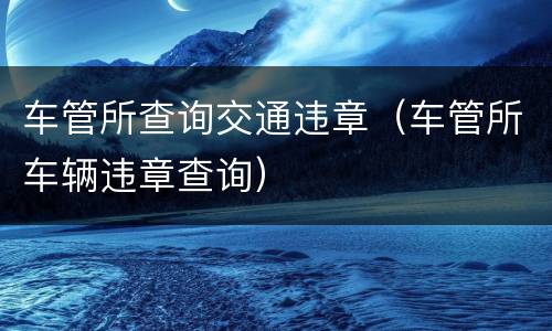 车管所查询交通违章（车管所车辆违章查询）