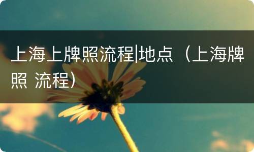 上海上牌照流程|地点（上海牌照 流程）