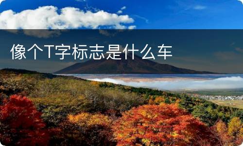 像个T字标志是什么车
