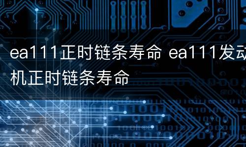 ea111正时链条寿命 ea111发动机正时链条寿命