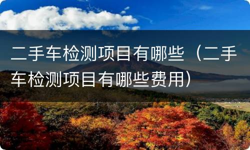 二手车检测项目有哪些（二手车检测项目有哪些费用）