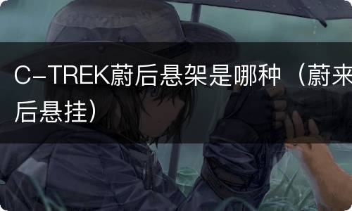 C-TREK蔚后悬架是哪种（蔚来后悬挂）