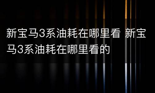 新宝马3系油耗在哪里看 新宝马3系油耗在哪里看的