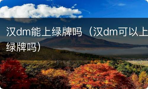 汉dm能上绿牌吗（汉dm可以上绿牌吗）