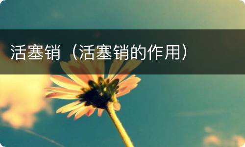 活塞销（活塞销的作用）