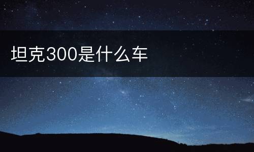 坦克300是什么车