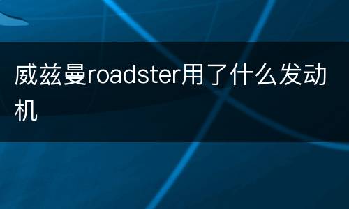 威兹曼roadster用了什么发动机