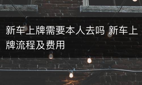 新车上牌需要本人去吗 新车上牌流程及费用