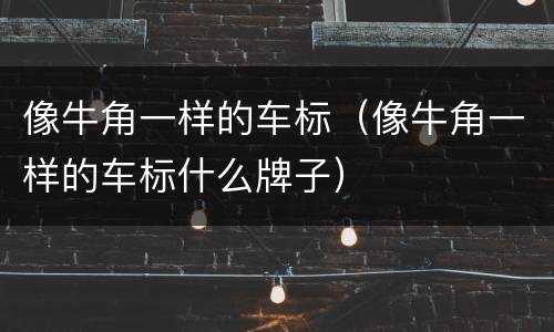 像牛角一样的车标（像牛角一样的车标什么牌子）