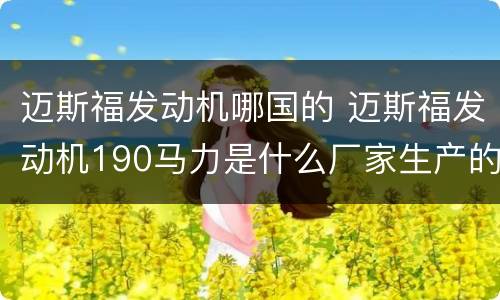 迈斯福发动机哪国的 迈斯福发动机190马力是什么厂家生产的