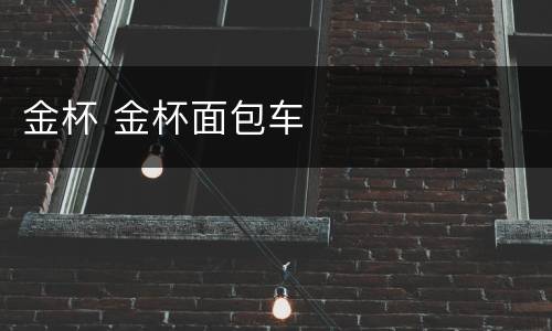 金杯 金杯面包车
