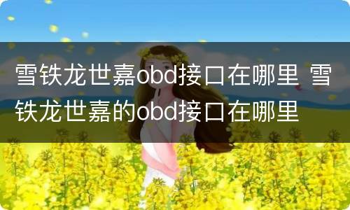 雪铁龙世嘉obd接口在哪里 雪铁龙世嘉的obd接口在哪里