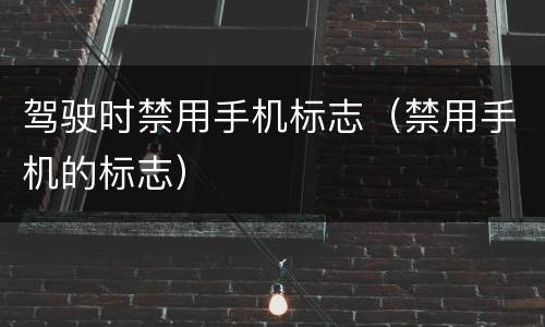 驾驶时禁用手机标志（禁用手机的标志）