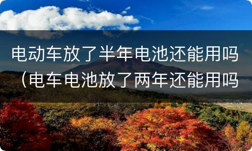 电动车放了半年电池还能用吗（电车电池放了两年还能用吗）