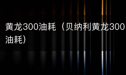 黄龙300油耗（贝纳利黄龙300油耗）