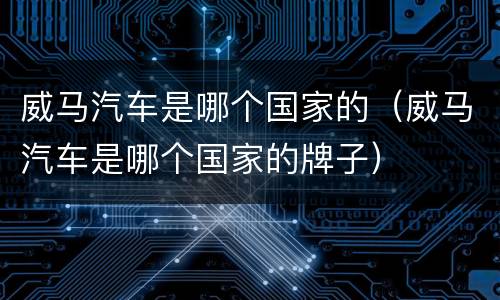威马汽车是哪个国家的（威马汽车是哪个国家的牌子）