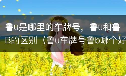 鲁u是哪里的车牌号，鲁u和鲁B的区别（鲁u车牌号鲁b哪个好）