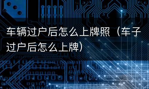车辆过户后怎么上牌照（车子过户后怎么上牌）