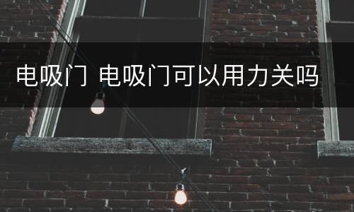 电吸门 电吸门可以用力关吗