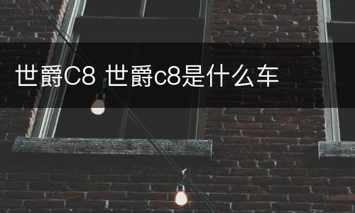 世爵C8 世爵c8是什么车