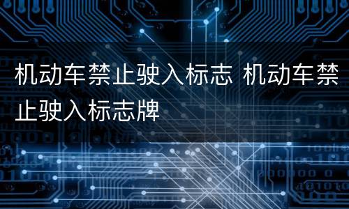 机动车禁止驶入标志 机动车禁止驶入标志牌