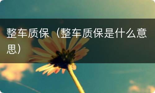 整车质保（整车质保是什么意思）